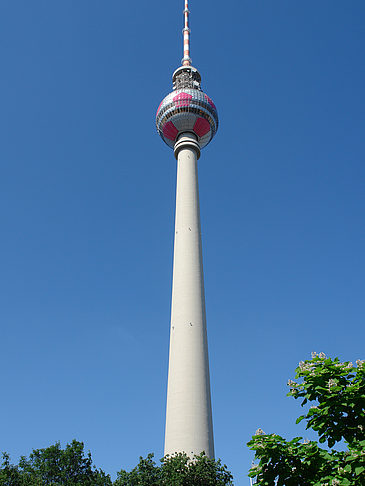 Fotos Fernsehturm und Bäume