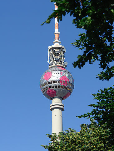 Fernsehturm und Bäume