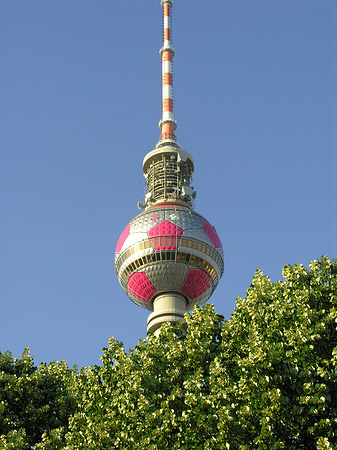 Fotos Fernsehturm und Bäume | Berlin