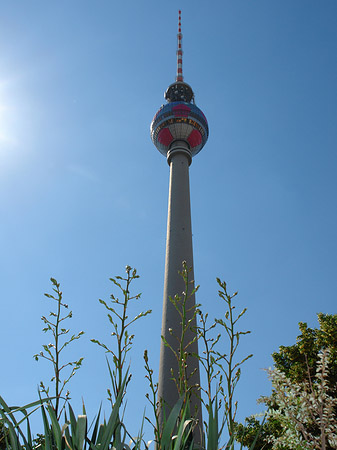 Fotos Fernsehturm gegen die Sonne