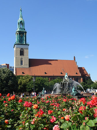 Fotos Marienkirche | Berlin