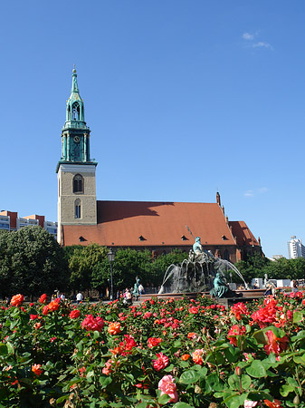 Marienkirche Foto 