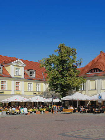 Fotos Fußgängerzone der Brandenburger Straße | Potsdam