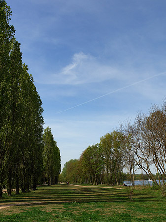 Volkspark Klein Glienicke Foto 