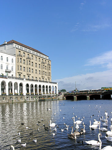 Alster Arkaden Foto 