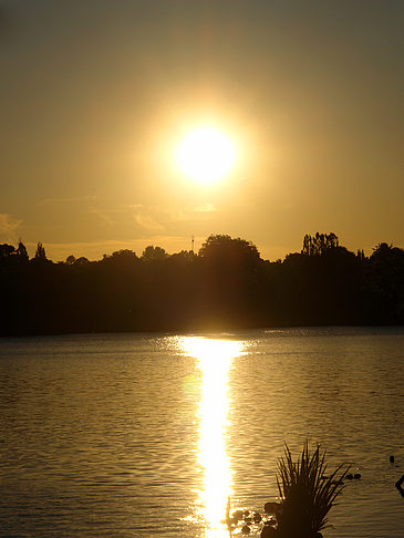 Foto Sonnenuntergang an der Außenalster - Hamburg