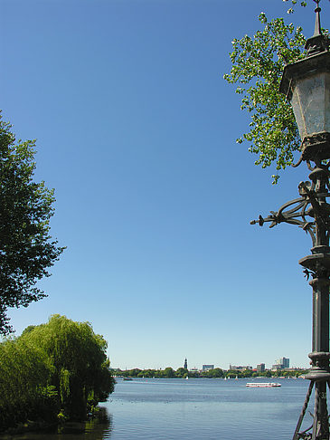 Foto Bäume und Laterne an der Binnenalster - Hamburg