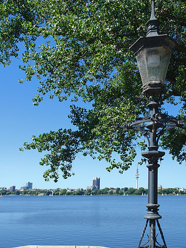 Bäume und Laterne an der Binnenalster Fotos