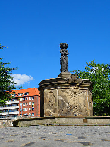 Foto Fischmarktbrunnen Minerva