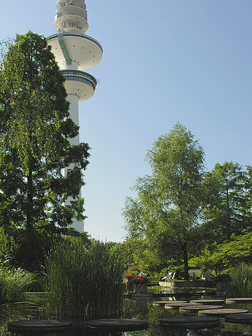 Foto Planten un Blomen - Wasserkaskaden