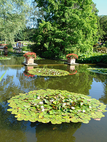 Planten un Blomen - Wasserkaskaden Fotos