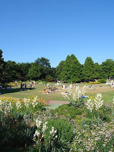 Planten un Blomen - Wiese am Parksee