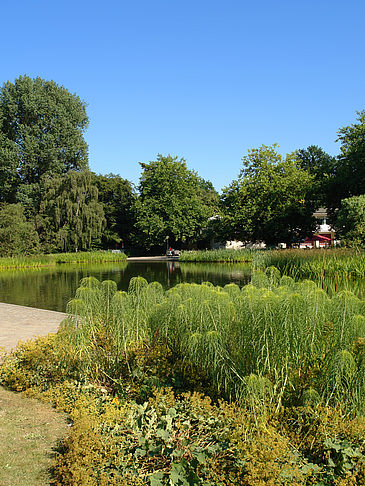 Fotos Planten un Blomen - Wiese am Parksee