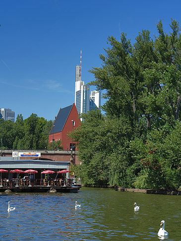 Fotos Neuer Portikus mit Bäumen | Frankfurt am Main