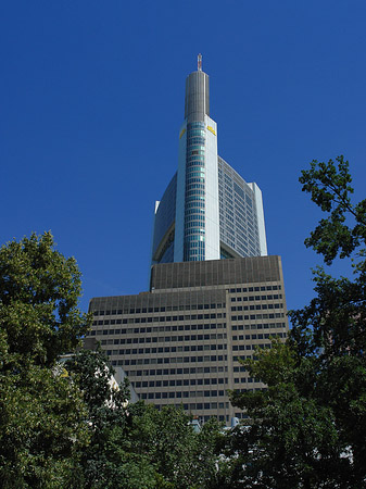 Commerzbanktower mit Baum