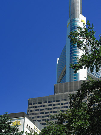 Commerzbanktower mit Baum