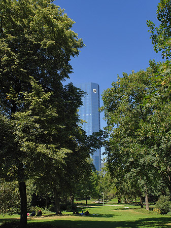 Deutsche Bank mit Wald Fotos