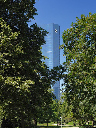 Deutsche Bank mit Wald Fotos