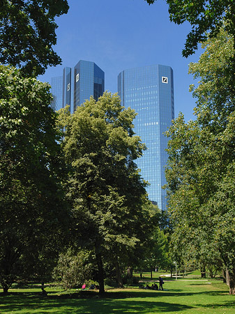 Deutsche Bank mit Wiese