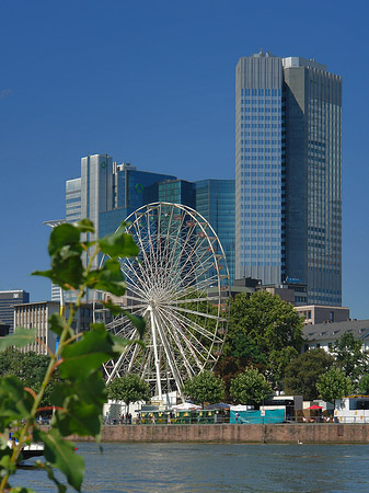 Eurotower und dresdener Bank mit riesenrad