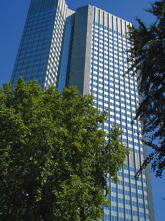 Eurotower Foto 