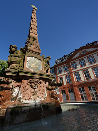 Haus zum Grimmvogel mit Liebfrauenbrunnen Fotos