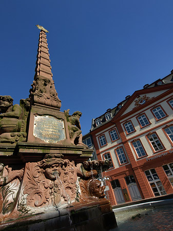 Haus zum Grimmvogel mit Liebfrauenbrunnen Fotos