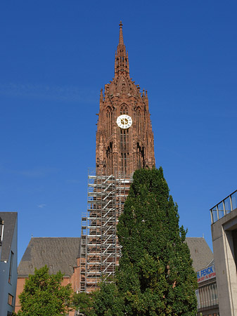 Foto Kaiserdom St. Bartholomäus mit Baum