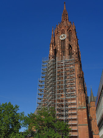 Fotos Kaiserdom St. Bartholomäus mit Baum