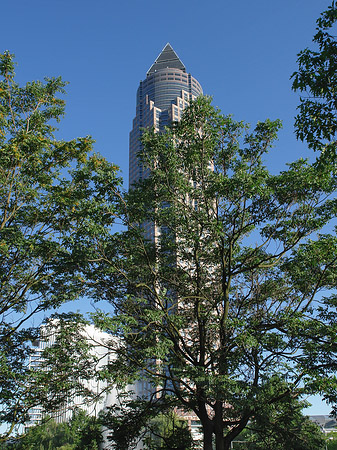 Foto Messeturm versteckt hinter Bäumen - Frankfurt am Main