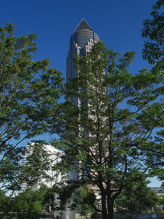 Messeturm versteckt hinter Bäumen Foto 