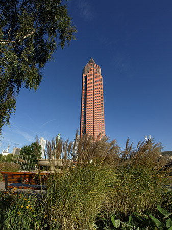 Fotos Messeturm auf Wiese