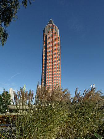 Messeturm auf Wiese Foto 