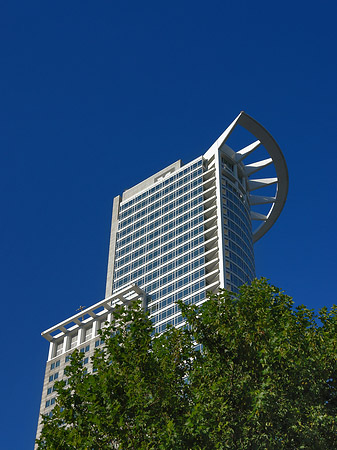 Fotos Westendtower mit Baum