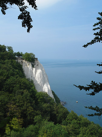 Königsstuhl Kreidefelsen Fotos