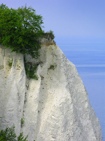 Foto Königsstuhl Kreidefelsen - 