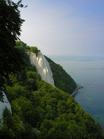 Königsstuhl Kreidefelsen