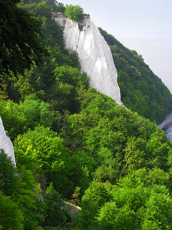 Königsstuhl Kreidefelsen Fotos