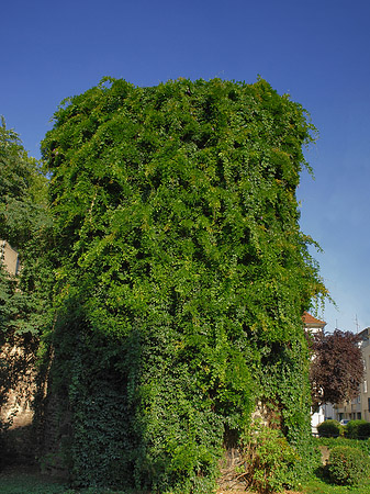 Foto Helenenturm