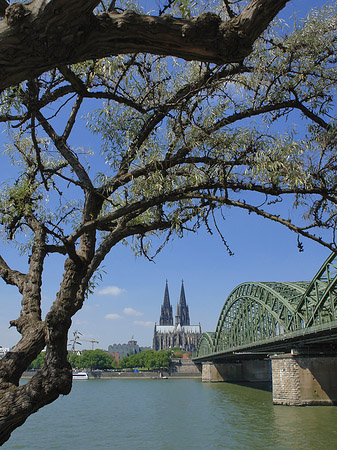 Foto Hohenzollernbrücke am Kölner Dom