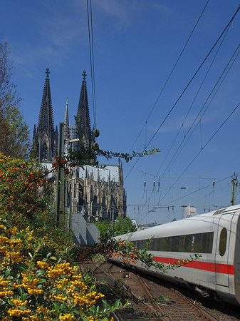 Fotos Kölner Dom mit ICE | Köln