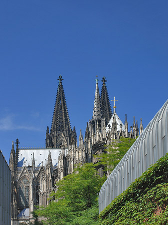 Foto Hauptbahnhof vor dem Kölner Dom