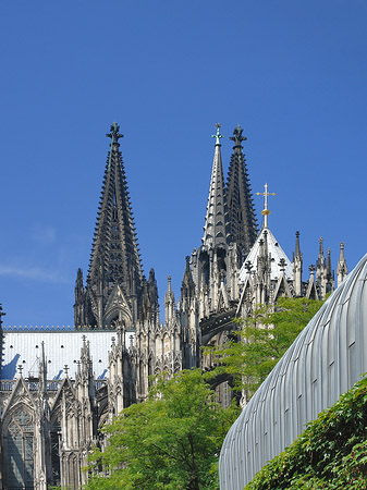 Hauptbahnhof vor dem Kölner Dom