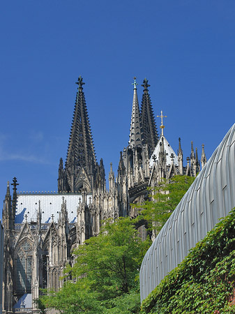 Foto Hauptbahnhof vor dem Kölner Dom - Köln