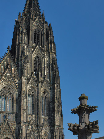 Kreuzblume vor Kölner Dom