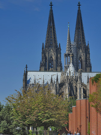 Foto Steinmauer zum Kölner Dom - Köln