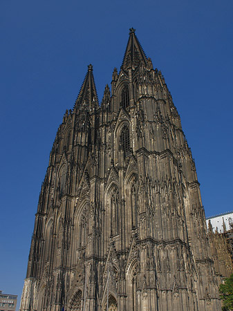 Fotos Touristen tummeln sich vor Kölner Dom