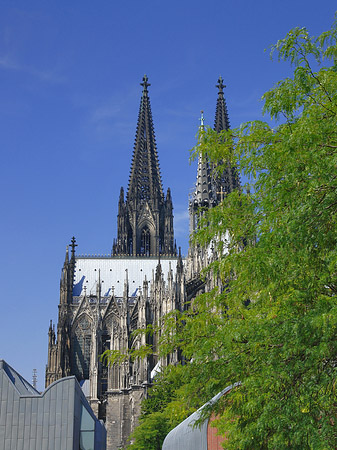 Türme des Kölner Doms Fotos