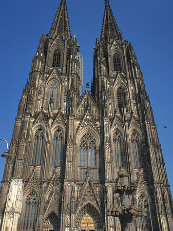 Fotos Menschen beim Kölner Dom