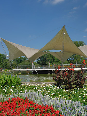 Foto Tanzbrunnen im Rheinpark - Köln